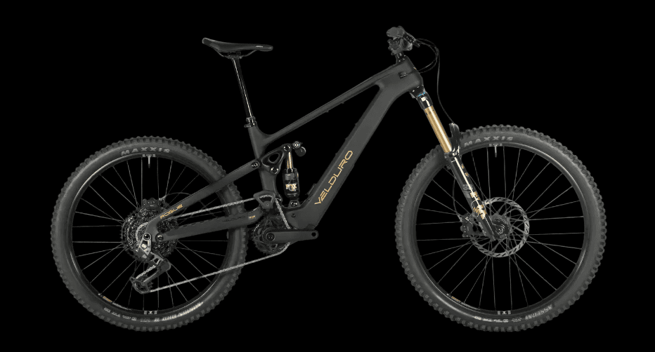 VELDURO ROGUE R M2S