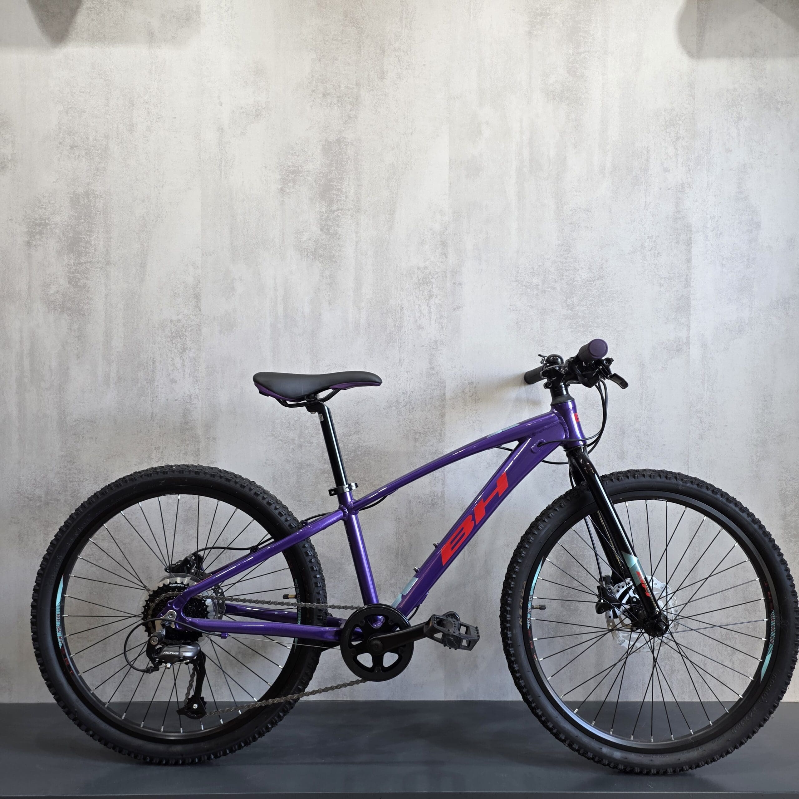 BH EXPERT JUNIOR 24 DISC 2024