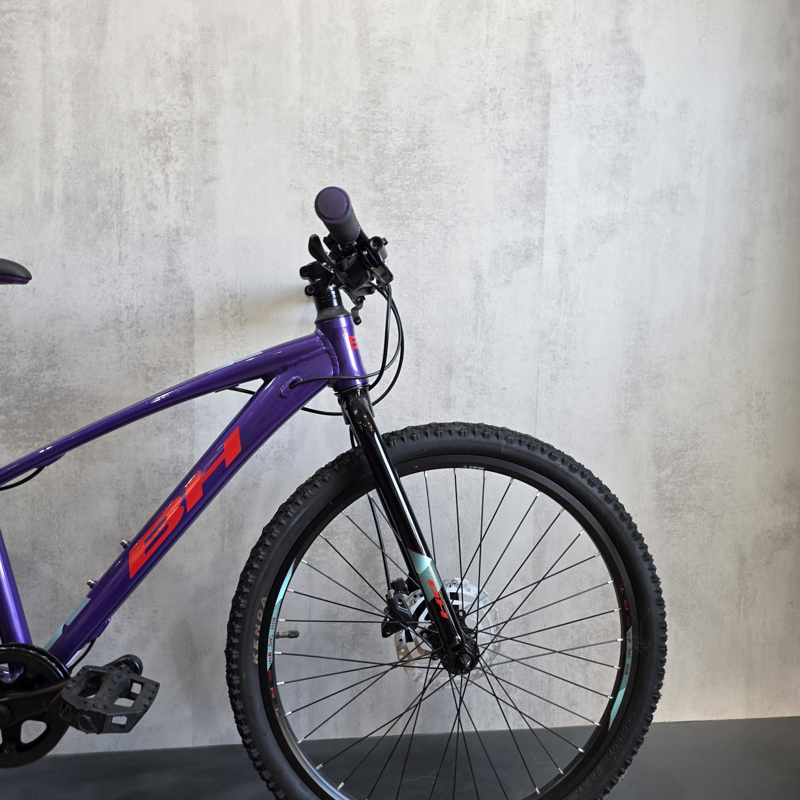 BH EXPERT JUNIOR 24 DISC 2024 - Afbeelding 3