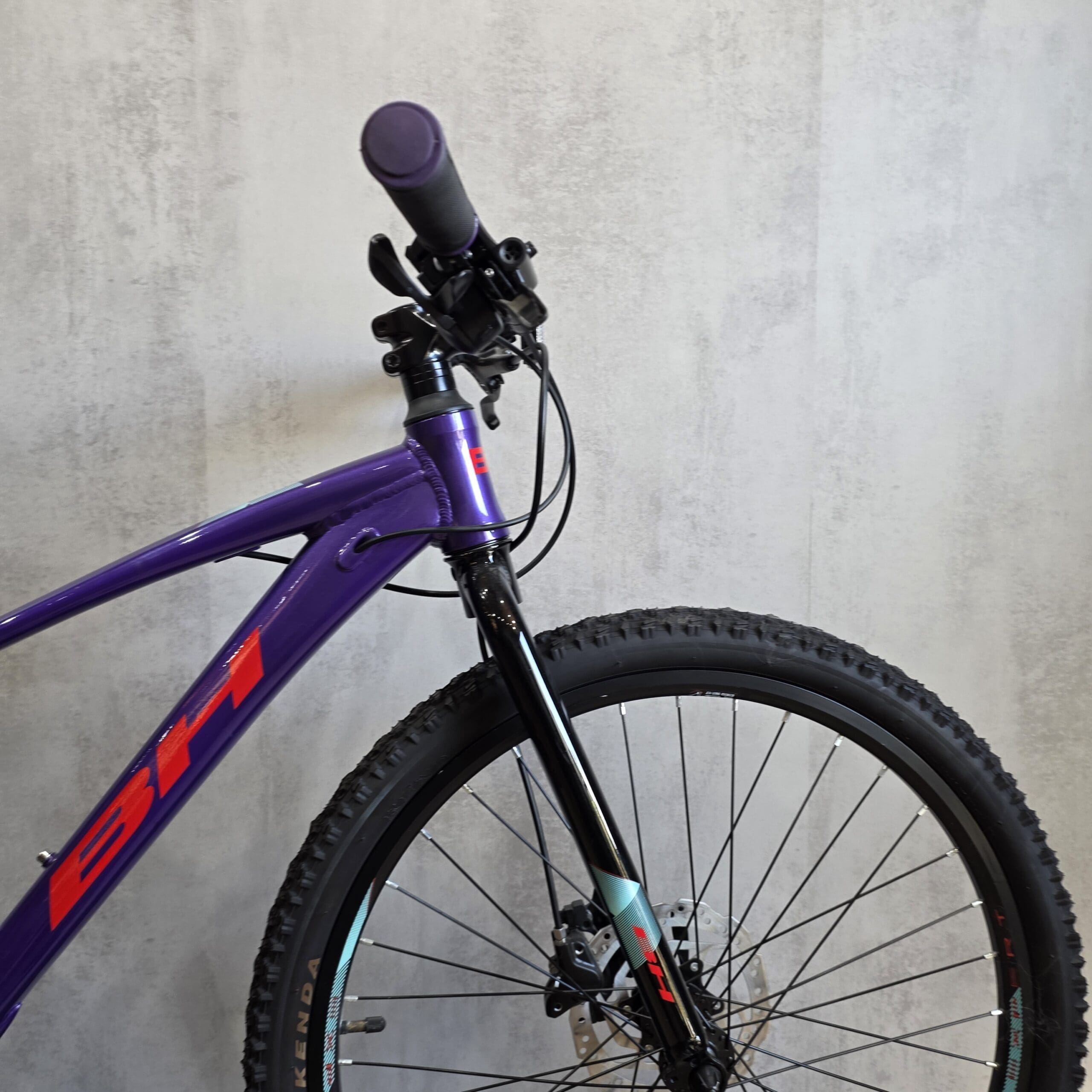 BH EXPERT JUNIOR 24 DISC 2024 - Afbeelding 6